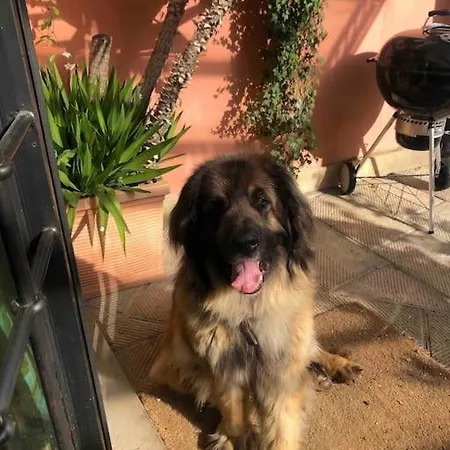 Daire Escape With Pool In Floransa
