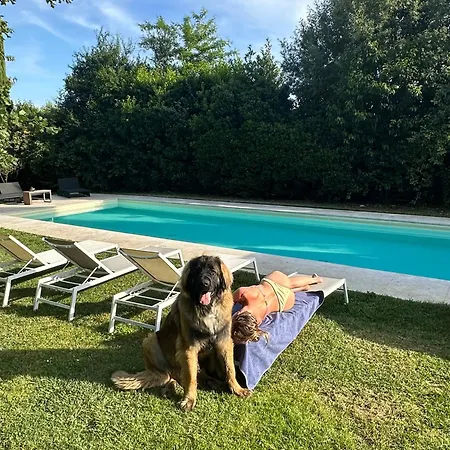 Escape With Pool In Daire Floransa