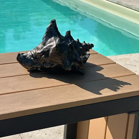 Escape With Pool In *
